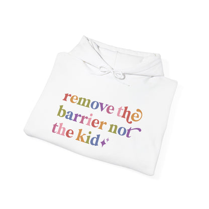 Remove the Barrier not the Kid Hoodie