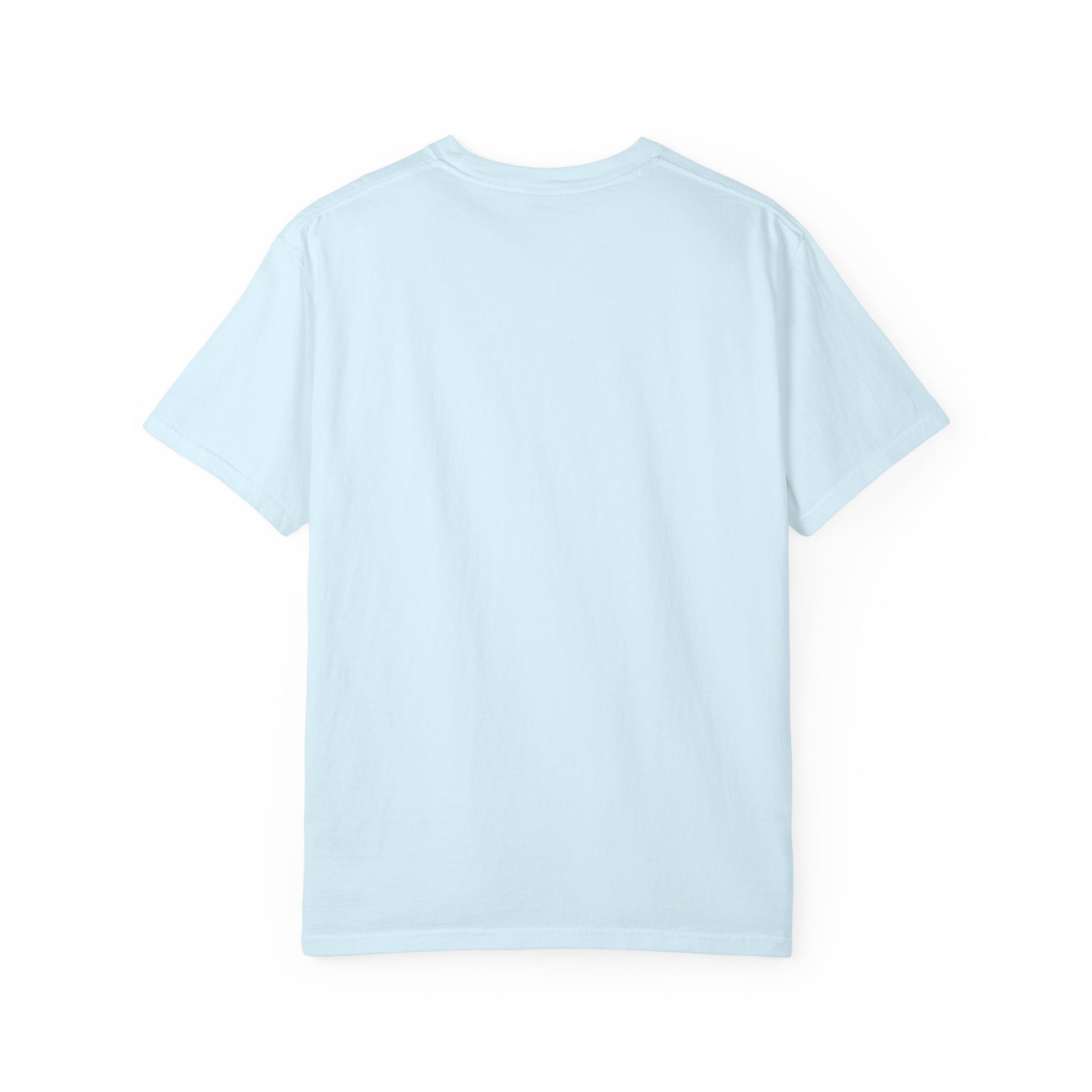 Disabled and Still Here Care & Resist rainbow Comfort Colors tee