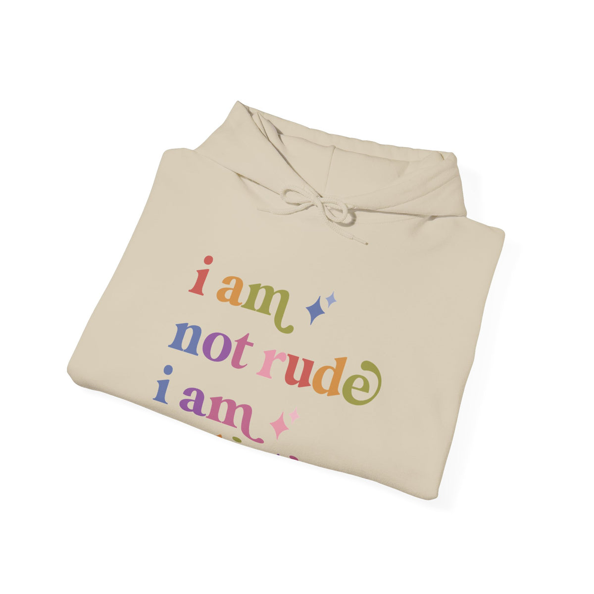 I Am not Rude I Am Autistic Hoodie
