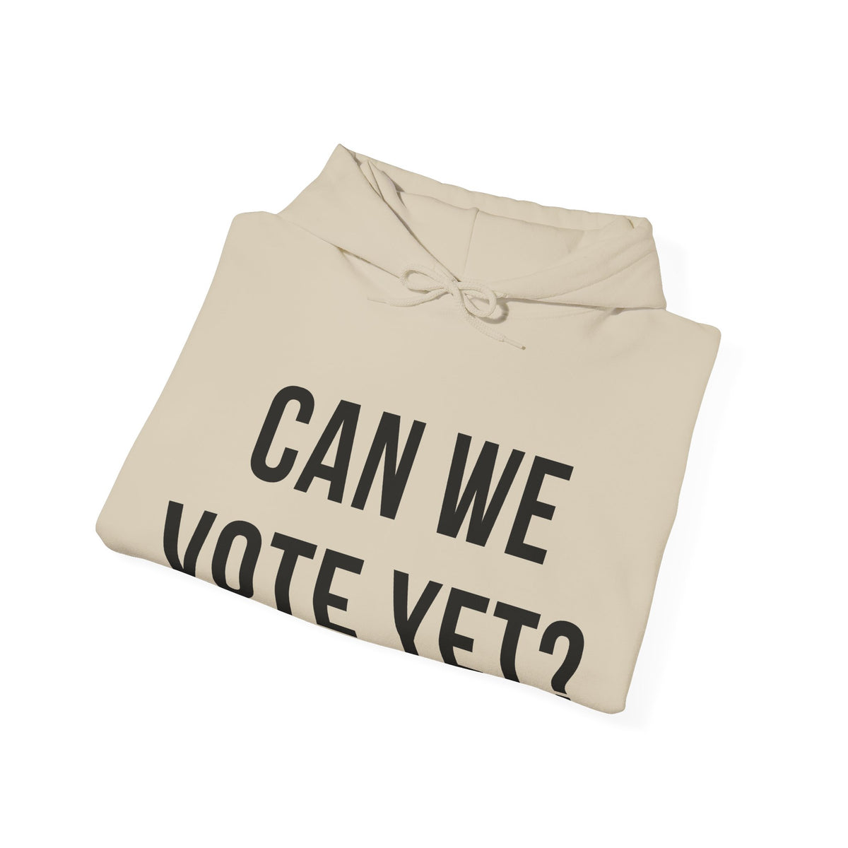 Can We Vote Yet? Hoodie