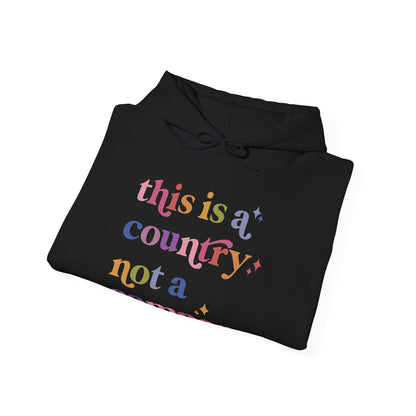 This Is a Country Not a Company Hoodie
