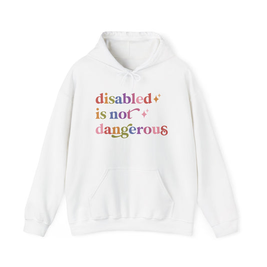 Disabled is not Dangerous Hoodie