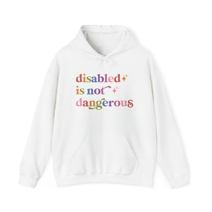 Disabled is not Dangerous Hoodie