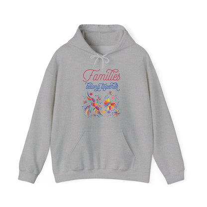 Families Belong Together Rainbow Hoodie