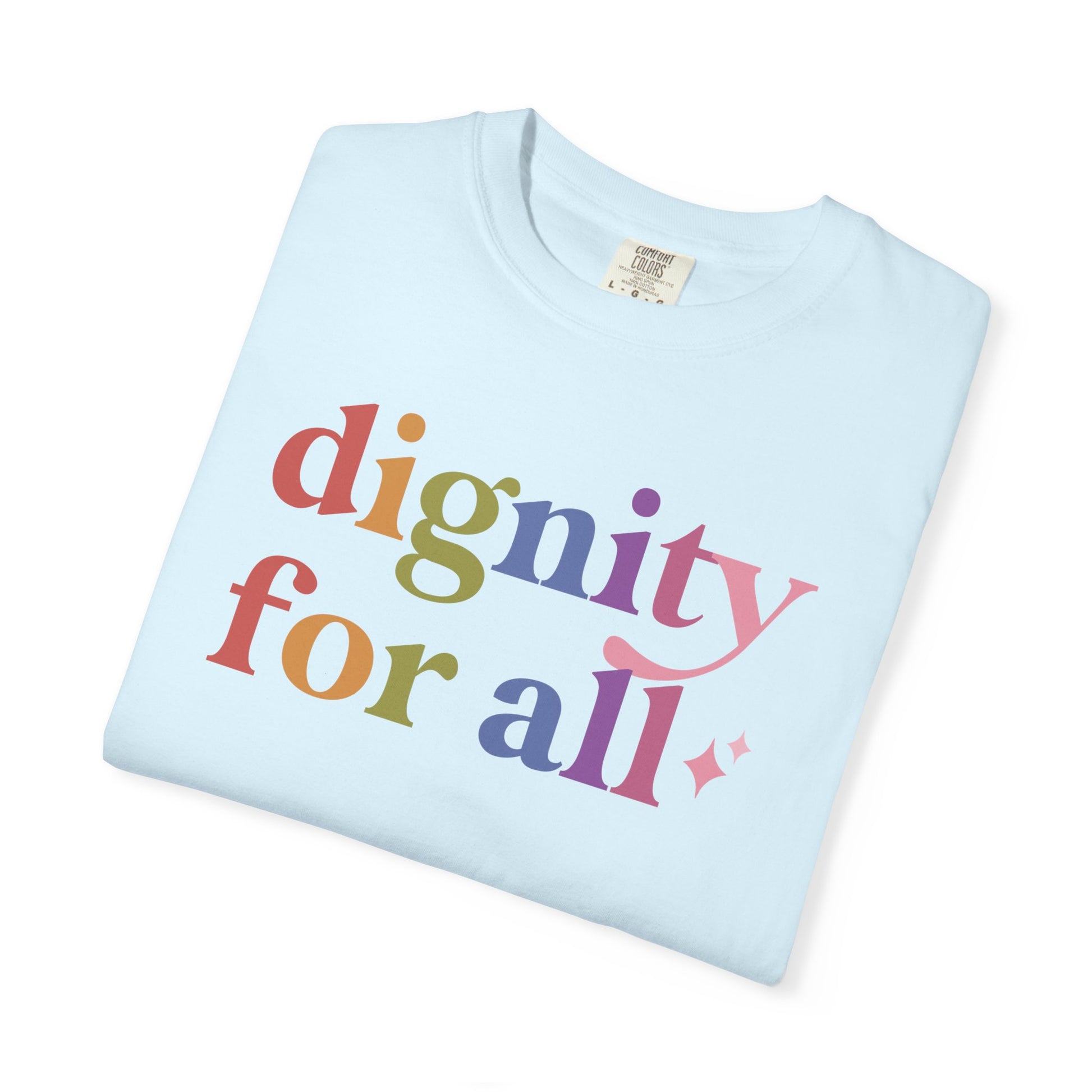 Dignity for All Care & Resist rainbow Comfort Colors tee