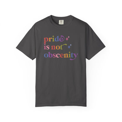 Pride is not Obscenity Comfort Colors Unisex T-Shirt