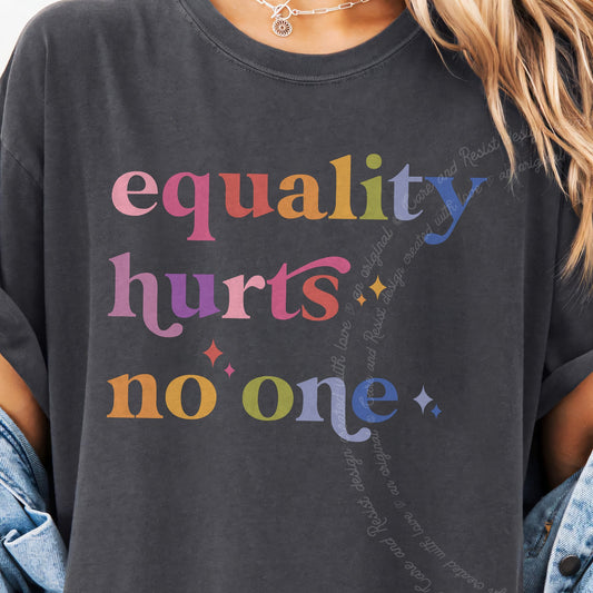 Equality Hurts No One Care & Resist progressive t-shirt in Graphite