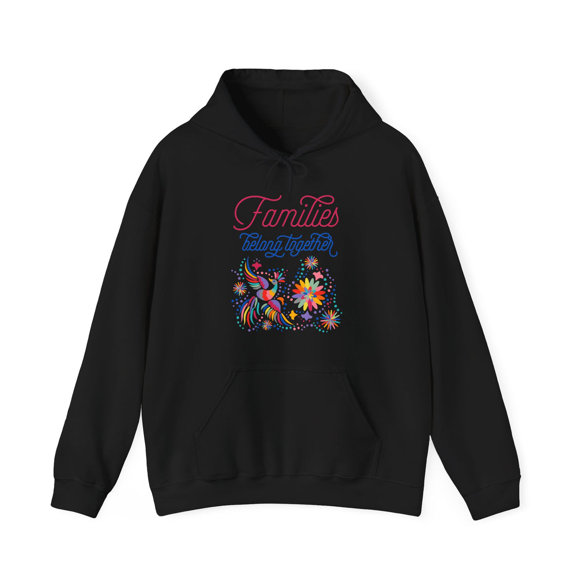 Families Belong Together Rainbow Hoodie