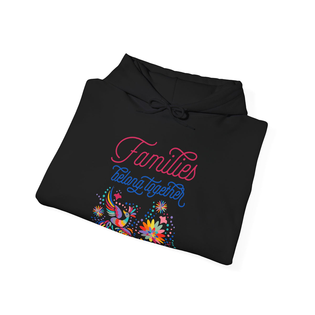 Families Belong Together Rainbow Hoodie