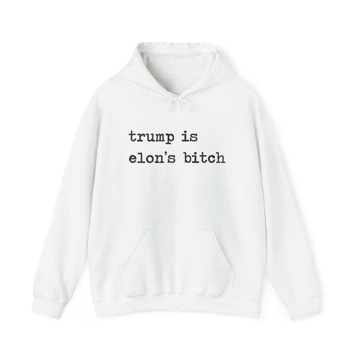 Trump Is Elon's Bitch Hoodie