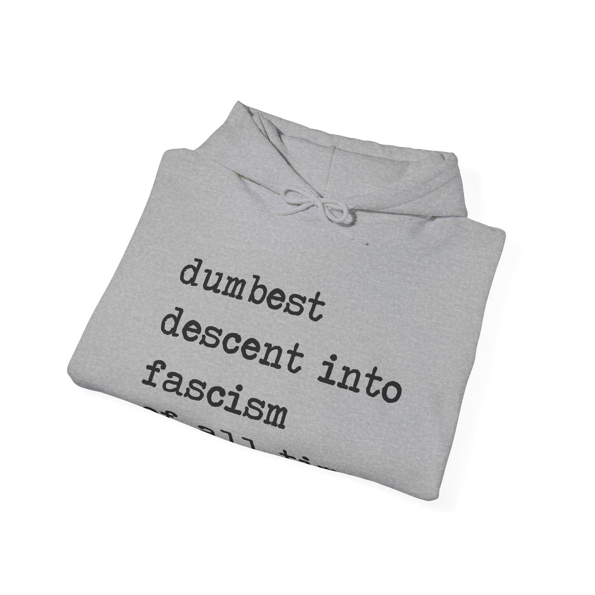 Dumbest Descent Into Fascism of All Time Hoodie