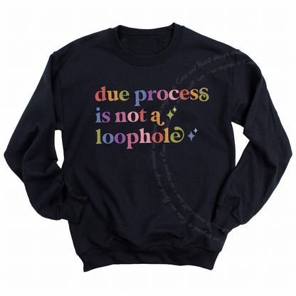 Due Process is not a Loophole Care & Resist Gildan crewneck sweatshirt in Black