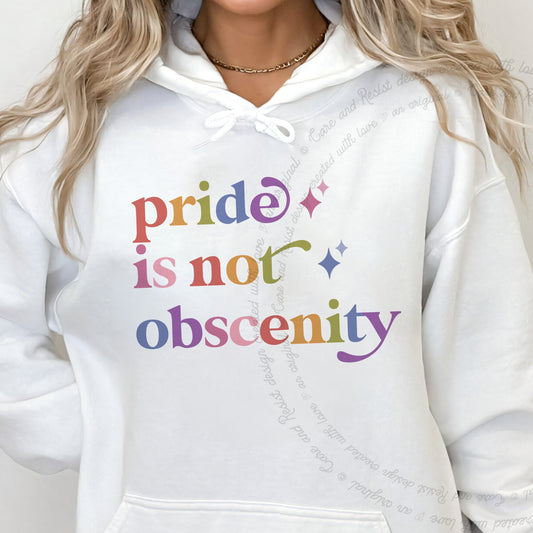 Pride is not Obscenity Care & Resist Gildan hoodie in White