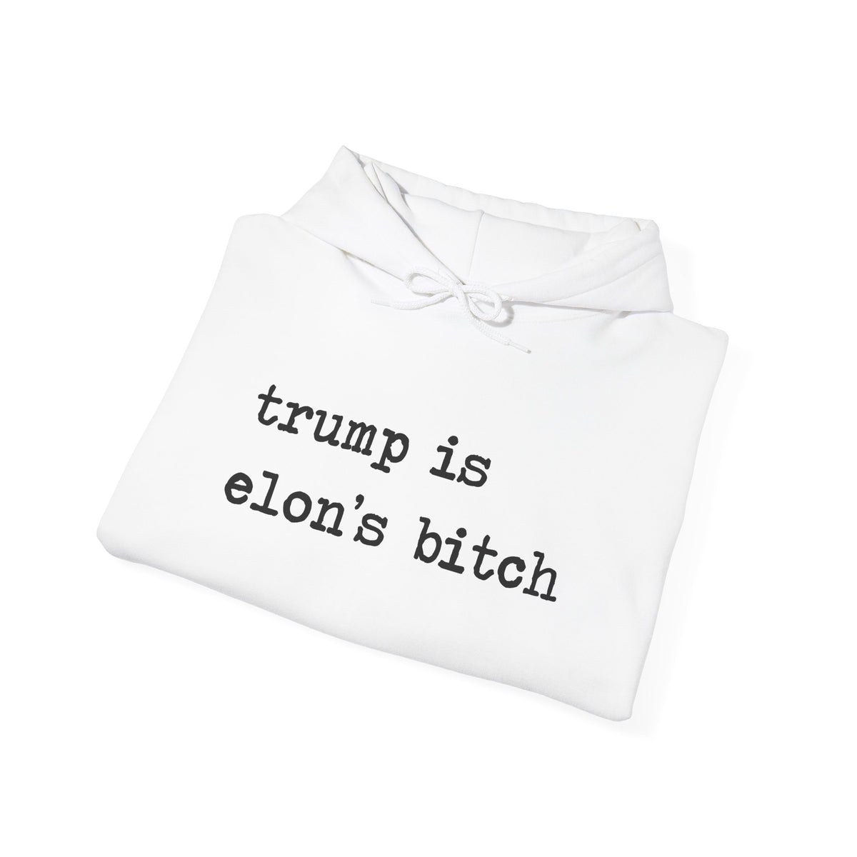 Trump Is Elon's Bitch Hoodie