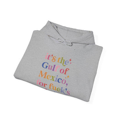 It's the Gulf of Mexico for Fuck's Sake Hoodie
