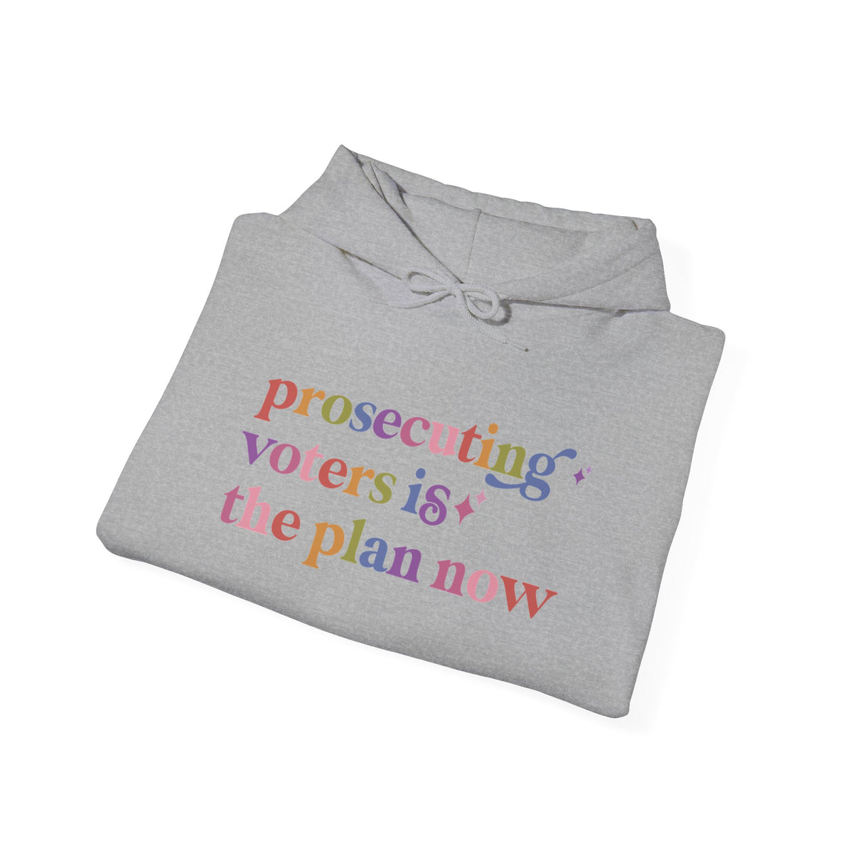 Prosecuting Voters is the Plan Now Hoodie