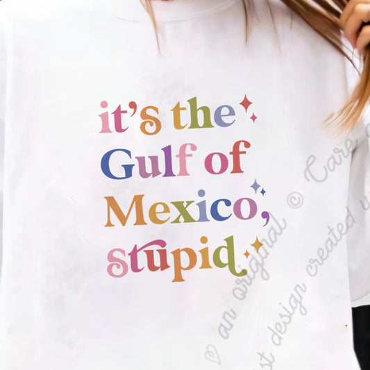 It's the Gulf of Mexico, Stupid Care & Resist Gildan crewneck sweatshirt in White
