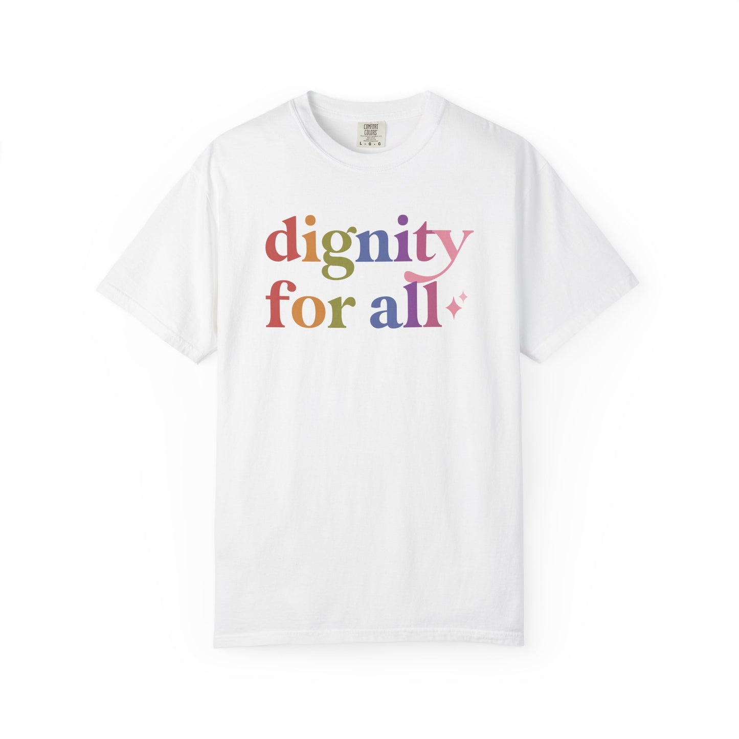 Dignity for All Care & Resist rainbow Comfort Colors tee