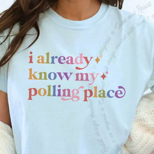 I Already Know My Polling Place Care & Resist progressive t-shirt in Chambray