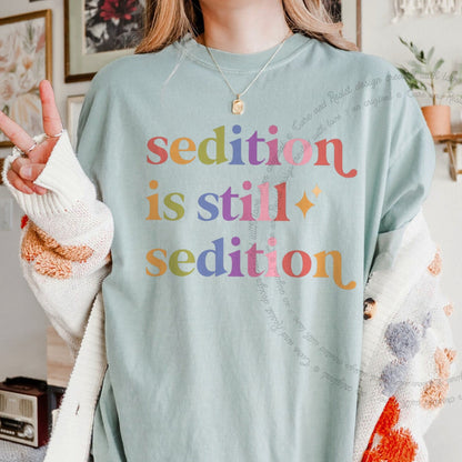 Sedition is Still Sedition Care & Resist rainbow tee