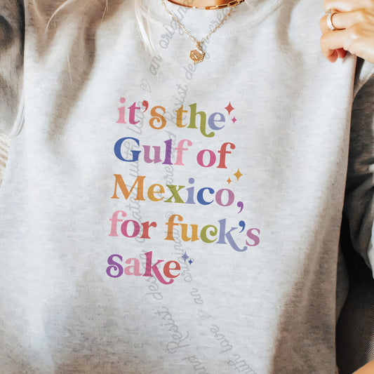 It's the Gulf of Mexico for Fuck's Sake Care & Resist Gildan crewneck sweatshirt in Sport Grey