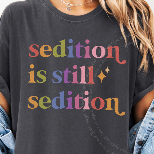 Sedition is Still Sedition Care & Resist progressive t-shirt in Graphite