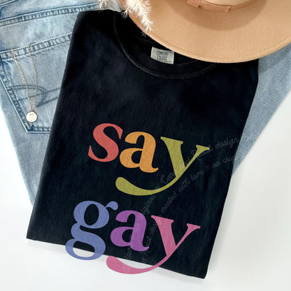 Say Gay Care & Resist rainbow Comfort Colors tee, Black