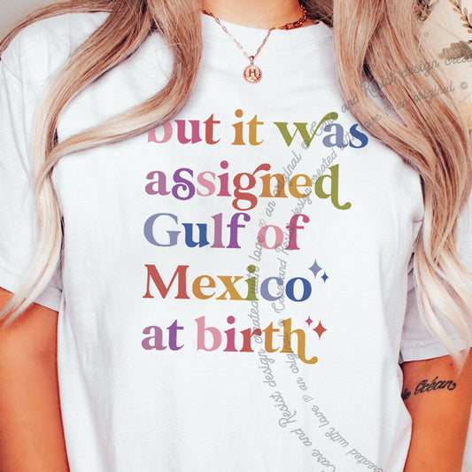 Team Gulf of Mexico America golfo de anti trump democrat liberal shirt tee t-shirt shirt tshirt apparel gift anti-fascist fascist fascism fragile masculinity 1569 dissent anti-elon elon musk deport progressive woke political support immigrants immigration rainbow colorful font words letter design retro vintage cute girly funny joke girl trans transgender support pronoun they them