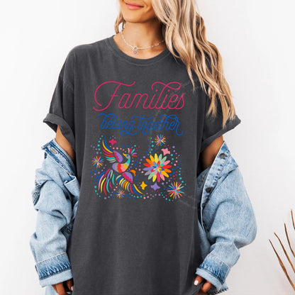 Families Belong Together Rainbow Care & Resist progressive t-shirt in Graphite