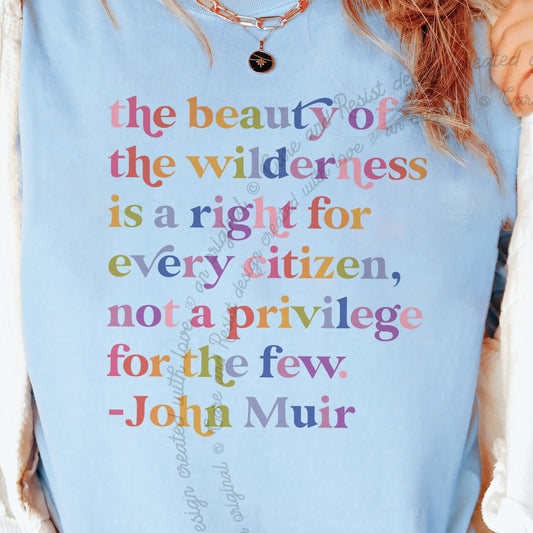The Beauty of The Wilderness Care & Resist progressive t-shirt in Chambray