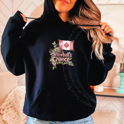 Not a Snowball's Chance Care & Resist Gildan hoodie in Black