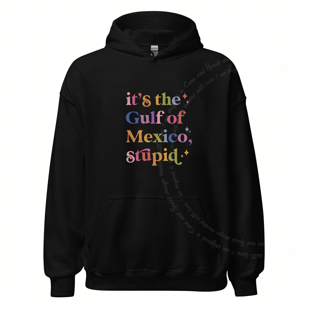 It's the Gulf of Mexico, Stupid Care & Resist Gildan hoodie in Black