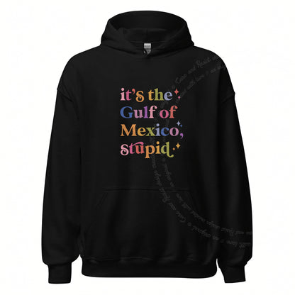 It's the Gulf of Mexico, Stupid Care & Resist Gildan hoodie in Black