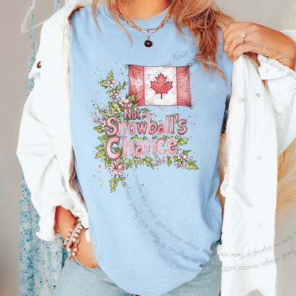 Not a Snowball's Chance Care & Resist progressive t-shirt in Chambray