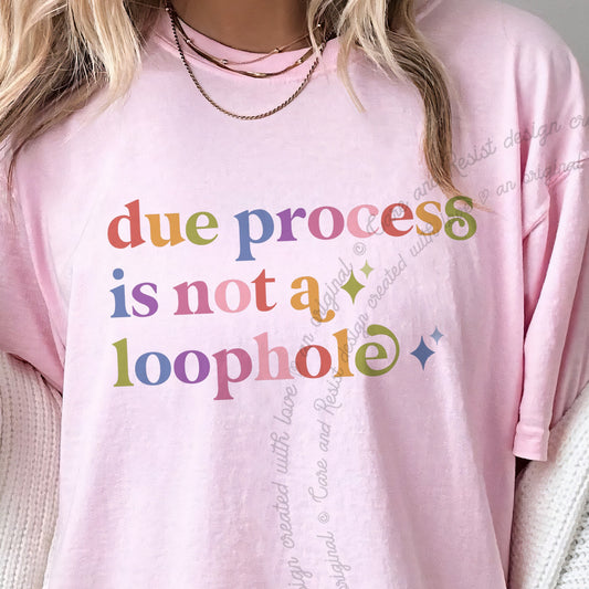 Due Process is not a Loophole Care & Resist progressive t-shirt in Blossom